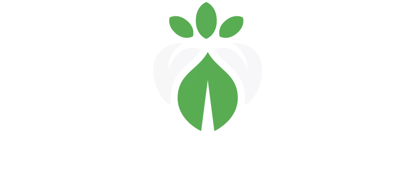 Route to Resilience Health UK